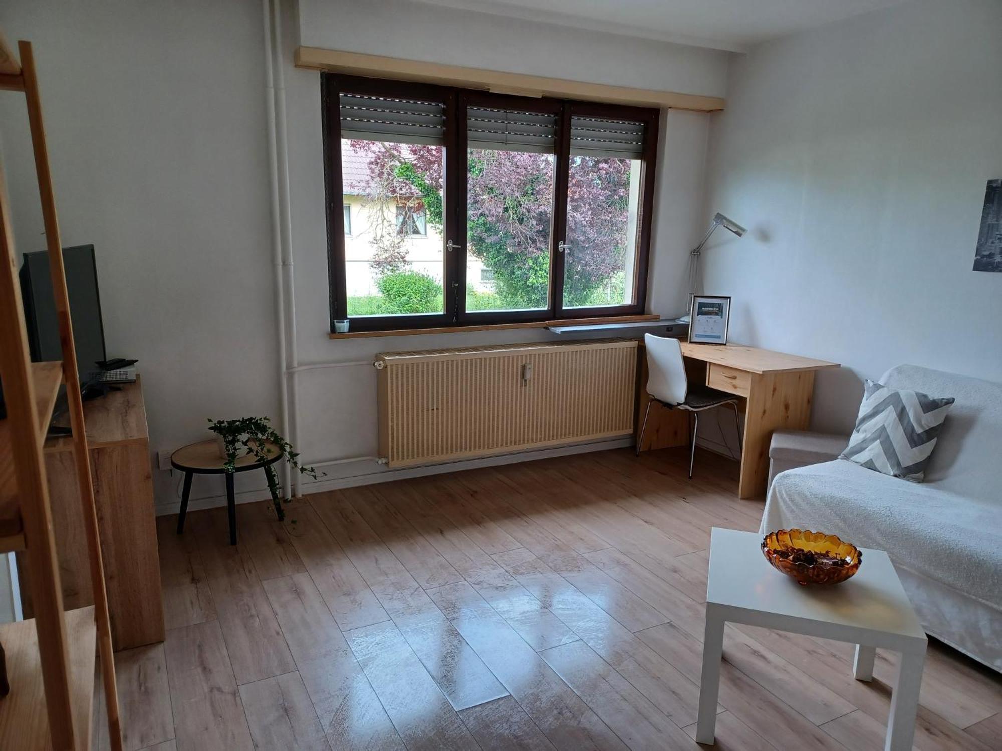 Studio Rdc Calme Avec Parking Ferme Pres Autoroute Et Tram C Мюлуз Экстерьер фото